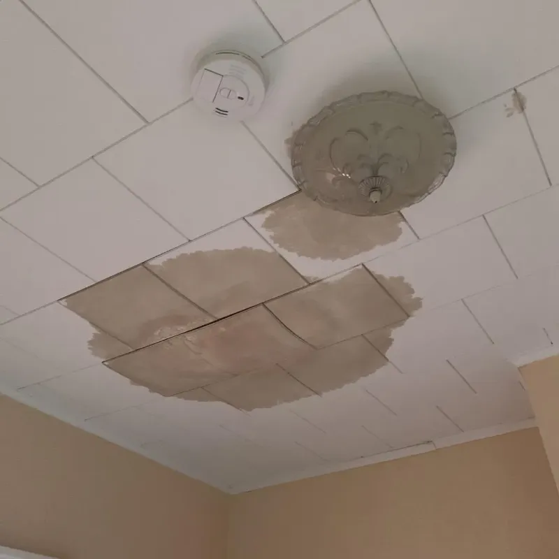 Ceiling Water Damage Repair in Hillside, NY