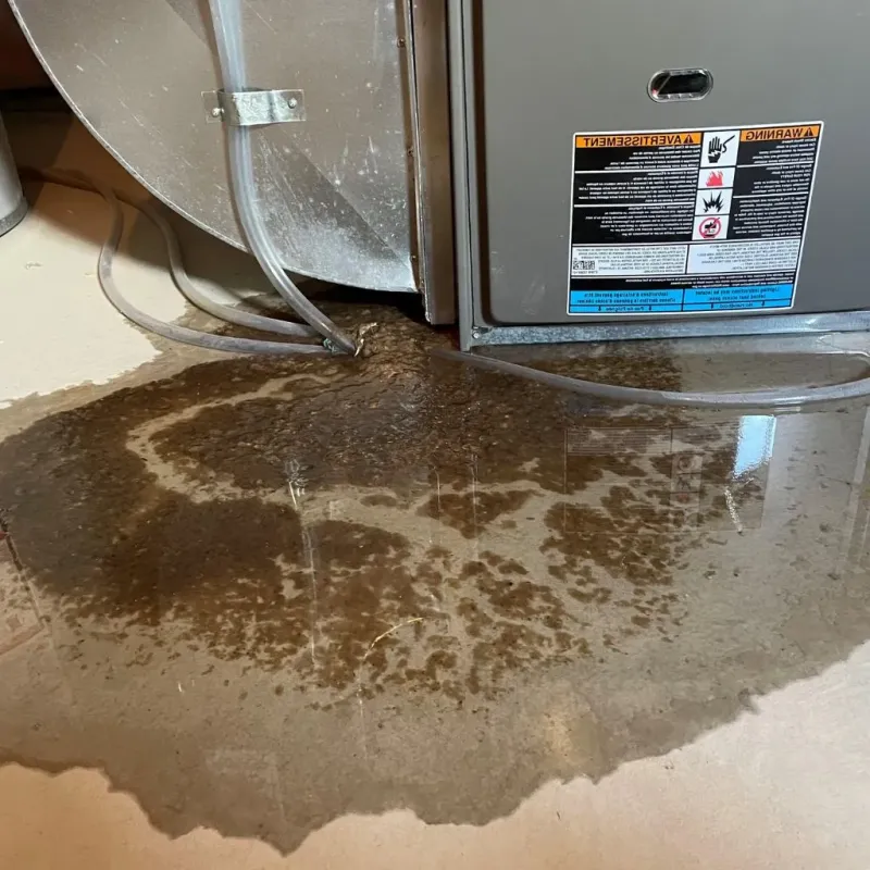 Pipe Burst and Leak Restoration in Hillside, NY